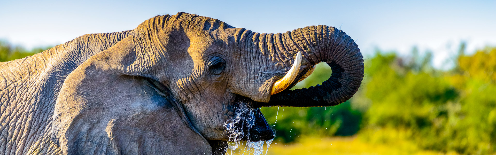 Namutoni an der Ostseite des Etosha-NP |  Kai-Uwe Kchler / Chamleon